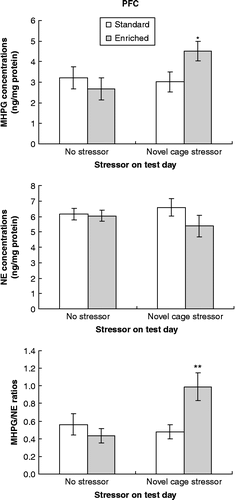 Figure 3.  Concentrations of MHPG and NE and MHPH/NE ratios within the PFC collected immediately after a 45-min novel cage stressor experience (novel cage stressor) or at a corresponding time in controls (no stressor) among mice that had been housed in enriched (EE) or standard (SE) conditions. Data are mean ± SEM. *p < 0.05 and **p < 0.01 vs. SE mice; 2 × 2 between-groups ANOVAs, n = 10/SE no stressor group, n = 10/SE novel cage stressor group, n = 7/EE no stressor group, n = 9/EE novel cage stressor group.