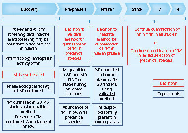 Figure 7. An example of process B.M: Metabolite; MD: Molecular dynamics; PK: Pharmacokinetic; SD: Stochastic dynamics; Tox: Toxicology.