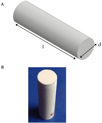 Figure 3. 3D-printed cylindrical ABS sample shape and dimensions based on ASTM G99 standard for use in wear tests. (A) 3D-CAD model showing all the dimensions in mm. d: 8.00 and l: 30.00. (B) 3D-printed cylindrical ABS sample.