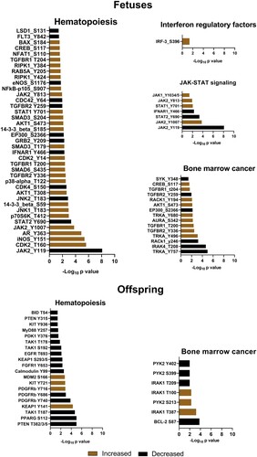 Figure 4. Differentially phosphorylated proteins related to immune activation, hematopoiesis, and cancer in the bone marrow of Zika-affected fetuses and offspring. Some proteins have more than one differently phosphorylated site; all differently phosphorylated sites for each protein are shown. All proteins affected in fetuses (except MSK2, SOC3, AR, JNK1, SMAD6, BAX, TGFBR2, IRAK4) were also affected in offspring (upper panel). In addition to proteins commonly affected in fetuses and offspring, offspring also had individually affected proteins (lower panel). Raw data are in Tables S1-A, C.