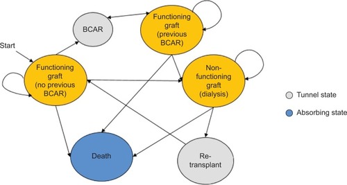 Figure 1 Graphical representation of the economic model.