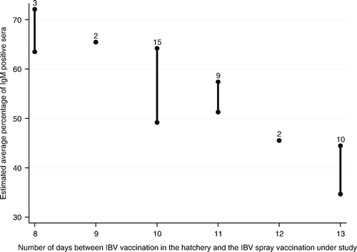 Figure 5.  Association between the interval between the heterologous IBV vaccination in the hatchery and the spray vaccination under study and the average IgM response per broiler breeder flock after IBV spray vaccination at approximately 2 weeks of age. Bar: 95% confidence interval of the estimated average percentage of IgM-positive sera for each number of days between the vaccination in the hatchery and the spray vaccination under study. Number on top of bar: number of flocks with that number of days between vaccination in the hatchery and the spray vaccination under study.