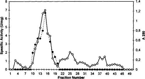 Figure 2.  Q sepharose chromatography of chicken erythrocyte GST. (…•…) GST activity, (—o—) absorbance at 280 nm.