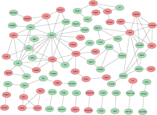 Figure 3 Protein–protein interaction network of the candidate genes. Each node represented a candidate gene and the undirected link between two nodes indicated an edge. Red circles pionted the functional methylated genes in promoter.
