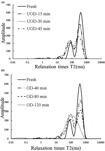 Figure 2. Typical distribution of T2 relaxation of Agaricus bisporus treated by OD and UOD processes.Figura 2. Distribución típica de T2 relajación de Agaricus bisporus tratado mediante procesos de OD y UOD.(a) Typical distribution of T2 relaxation of UOD mushrooms; (b) typical distribution of T relaxation of OD mushrooms; fresh: fresh button mushrooms; OD (40 min), OD (80 min), and OD (120 min): button mushrooms with osmotic dehydration for 40, 80, and 120 min, respectively; UOD (15 min), UOD (30 min), and UOD (45 min): button mushrooms with ultrasound assistant osmotic dehydration for 15, 30, and 45 min, respectively.(a) Distribución típica de T2 relajación de champiñones UOD; (b) Distribución típica de T relajación de champiñones OD; Frescos: champiñones comunes frescos; OD-40 min, OD-80 min y OD-120 min: champiñones comunes sometidos a UOD durante 15 min, 30 min y 45 min, respectivamente.