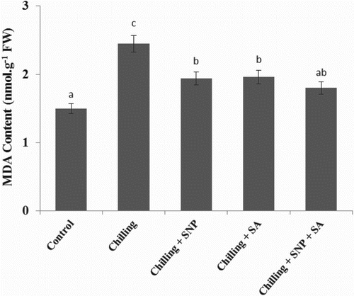 Figure 2. Effects of sodium nitroprusside (SNP) and/or salicylic acid (SA) on malondialdehyde (MDA) level of Triticum aestivum L. Bars followed by the same letter do not differ statistically at p < 0.05 (Duncan's multiple-range test). The average of three determinations is presented, with bars indicating SE.