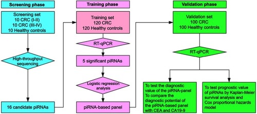 Figure 1 The flowchart of our study design.Abbreviations: CRC, colorectal cancer; piRNA, Piwi-interacting RNA; RT-qPCR, quantitative real-time PCR.