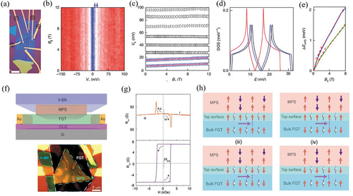 Figure 4. (a) An optical micrograph of the investigated device. (b) Differential tunneling conductance G as a function of B‖ and Vb (Vg = 0 V). The color scale is blue to white to red, 6 nS to 12 nS to 19 nS. (c) Bias position of the step-like features in G as a function of B‖. (d) Calculated magnon density of states for T = 10 K, B = 0 T (blue line), T = 10 K, B = 6.25 T (black line), and T = Tc, B = 0 T (red line). The same calculations provide Tc = 88 K. (e) Calculated changes of the position of the van Hove singularities in magnon density of states. Reproduced with permission from [Citation90], Copyright 2018, Nature. (d) as a function of magnetic field for temperatures close to Tc. (f) Schematic illustration and optical image of the vdW heterostructure of MPS/FGT. (g) Magnetic field dependence of Rxx and Rxy in the MPS/FGT heterostructure at 10 K with a positive shift of HEB = 160 Oe at a cooling field of HFC = −10 kOe. (h) Schematic diagram of the spin polarization and magnetization at interface and bulk FGT. Reproduced with permission from [Citation92], Copyright 2020, American Chemical Society.