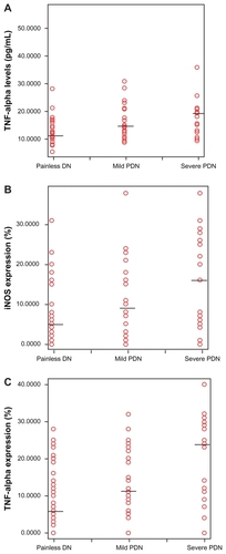 Figure 1 Scatter plots illustrating plasma TNF-α levels, iNOS and TNF-α expression in patients with Painless DN (n = 51), mild PDN (n = 34) and severe PDN (n = 25). The short horizontal line marks median values. (A) Patients with severe PDN had higher plasma TNF-α levels than patients with mild PDN (P < 0.001) and Painless DN (P < 0.001) (B) Patients with severe PDN had higher iNOS expression than patients with mild PDN (P < 0.001) and Painless DN (P < 0.001). (C) Patients with severe PDN had higher plasma TNF-α levels than patients with mild PDN (P < 0.001) and Painless DN (P < 0.001). In patients with PDN plasma TNF-α levels were 1.4 (P < 0.05), iNOS expression was 2.1 (P < 0.05), and TNF-α expression were 1.98 (P < 0.05) fold higher than in Painless DN.