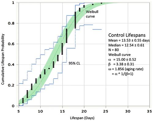 Figure 1. The distribution of lifespans in untreated controls at 22 °C. Lifespan is in days, probability is the cumulative frequency of lifespan. Black dots represent the lifespans of individual rotifers from a cohort of 80. The continuous line is the Weibull fit to the data and the dotted lines define the 95% confidence limits.