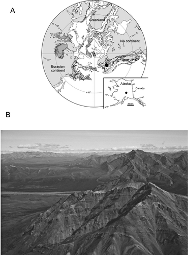 Figure 1 A, Location of Denali National Park, Alaska, USA during the Cretaceous, shown by black dot. Inset shows current geographical location of study area. B, view to east of Cantwell Formation from Sable Mountain area.
