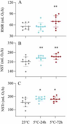 Figure 3. Resting metabolic rate (RMR, a) and non-shivering thermogenesis (NST, b) and regular NST (NSTr, C) in striped hamsters subjected to repeated cold (5°C) and warm (23°C) temperature cycles. 23 oC, animals maintained at room temperature (23°C) throughout the experiment. Cold-24 h and Cold-72 h, animals exposed to 6 cold and warm temperature cycles (24 h at 5°C followed by 6 days at 23°C, and 72 h at 5°C followed by 4 days at 23°C) from the 2nd to 7th week of the experiment. Data are means ± SD with individual data points; *P < 0.05, **P < 0.01.