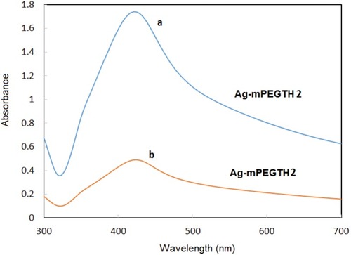 Figure 1 UV-visible spectra of AgNPs coated with different weight ratio of mPEGTH2. (A) AgNPs from AgNO3:mPEGTH2 1:2 w/w; (B) AgNPs from AgNO3:mPEGTH2 1:1 w/w.