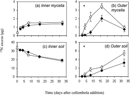 Figure 2. 15N excess (mean ± SE) of inner (a) and outer (b) zone mycelia, and inner (c) and outer (d) zone soil across the 32-day study period. Treatments are ungrazed (◊) and grazed (⧫) systems. 15N excess values at t 0 (▵) are immediately before grazing commenced. Significant time × grazing treatment interactions (RM ANOVA) are indicated; *p ≤ 0.05. Note different y-axis scales. Figure modified from Tordoff et al. (Citation2011).