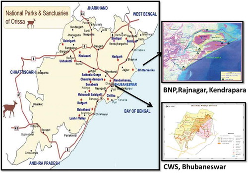 Figure 1. Maps of study area.