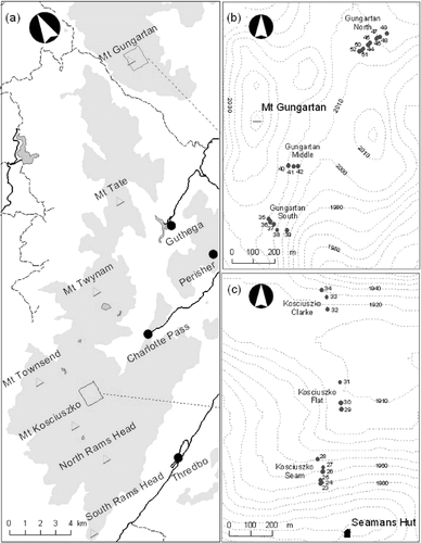 FIGURE 1. Location of the 30 permanent photoquadrats in the alpine zone of Kosciuszko National Park (shaded areas ≥ 1830 m; contours in meters). (a) Overview of photoquadrat locations; (b) position of the Gungartan photoquadrats; and (c) position of the Kosciuszko photoquadrats
