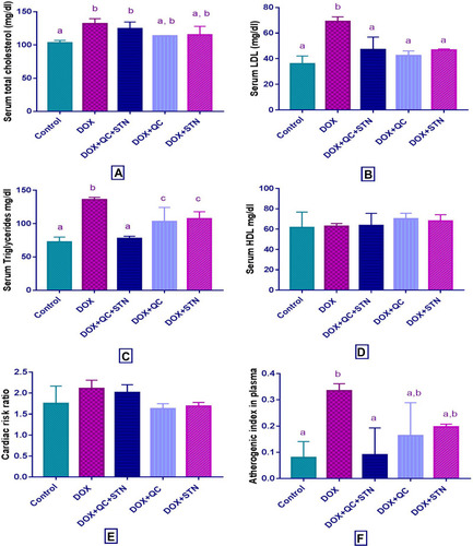 Figure 3 Effect of quercetin and/or sitagliptin on serum lipid profile and atherogenic indices (A) total cholesterol, (B) LDL, (C) triglycerides, (D) HDL, (E) cardiac risk ratio and (F) atherogenic index in plasma. Values were presented as mean ± S.D (n= 6 animals in each group); values with non-identical letters (a, b, c) are significantly different using ANOVA and post hoc test (p < 0.05).