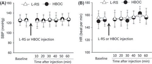 Figure 2. The SBP (A) and HR (B) before and after HBOC injection. Values were presented as mean ± SD (n = 15). HBOC: hemoglobin based oxygen carrier; HR: heart rate; L-RS: Lactated Ringer's solution; SBP: systolic blood pressure.