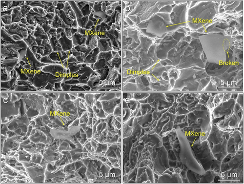 Figure 12. SEM images of fracture surface of as-printed samples: (a) S8, (b) S13, (c) S17 and (d) S19.