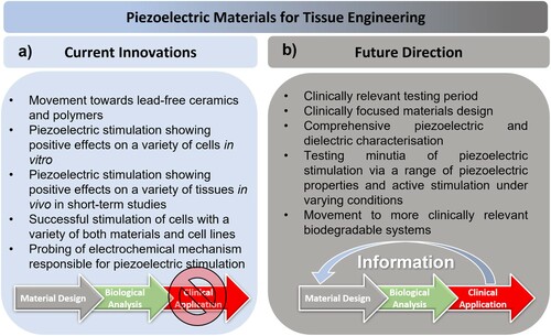 Figure 24. Summary of the (a) current innovations in and (b) future research directions of piezoelectric materials in tissue engineering.