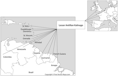 Figure 10. Map of regions from this article whose people and their material culture (including technology and style) create the vast web of relationships and histories that formed the Lesser Antillean Kalinago (Figure by Lewis Borck and Maroussia Faber).