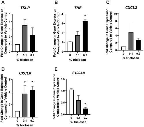 Figure 5. Repeated exposure to triclosan on EpiDerm tissues changed expression of immune-related genes. Fold-change in gene expression compared to vehicle control of (A) TSLP, (B) TNF, (C) CXCL2, (D) CXCL8, and (E) S100A8 following 5 days of 0% triclosan (acetone vehicle) or 0.1–0.2% triclosan. Bars represent mean (± SEM) of two samples/group. *p < 0.05 vs. 0% triclosan.
