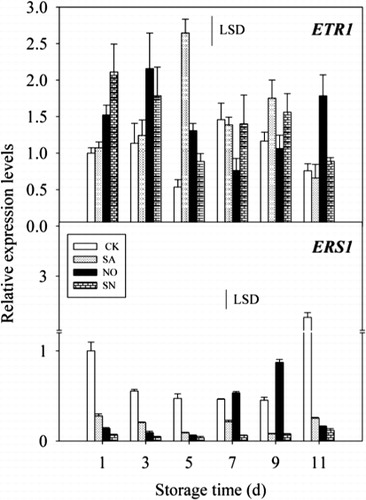 Figure 3 Expressions of ETR1 and ERS1 genes in mango fruit treated with pre- and postharvest SA and NO during storage at 25 °C for 11 days. The expression levels of each gene are expressed as a ratio relative to 1 day of control, which was set at 1. Each value represents the mean ± SE of three replicates.