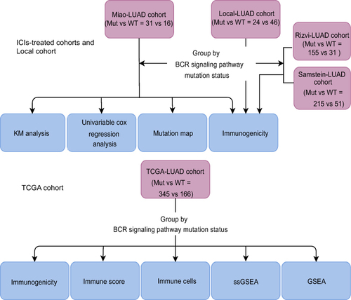 Figure 1 Work flowchart of clinical cohort establishment and subsequent analysis in this study.