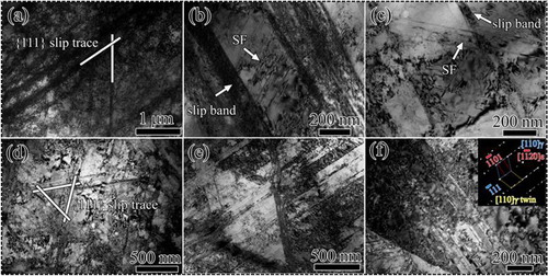 Figure 5. Deformation structures of the iHEA after 12% strain (a–c) and fracture (d–f). The inset in (f) shows the SAED pattern.
