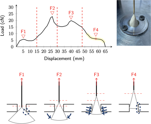 Figure 4. Deformation stages, pull-out forces and the sample geometry observed during nozzle test.