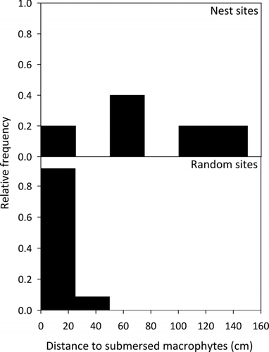 Figure 3. Relative frequency of the distance to nearest submersed macrophytes (cm) from nest sites and random sites within West Long Lake, Nebraska, USA in June 2011.