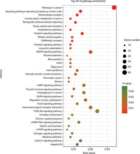 Figure 6 KEGG pathways for the target genes of three miRNAs using DAVID.Abbreviations: HCM, hypertrophic cardiomyopathy; KEGG, Kyoto Encyclopedia of Genes and Genomes.