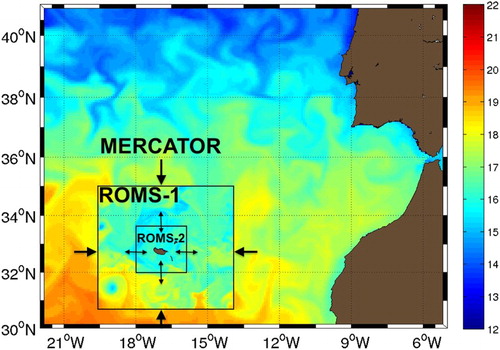 Figure 2. Graphical representation of the Madeira forecasting system whereby the MERCATOR model is nudged onto ROMS. ROMS has two sub-domains with grid resolutions of 1/36° (ROMS-1) and 1/118° (ROMS-2). The two ROMS domains are coupled in two-way mode using AGRIF.