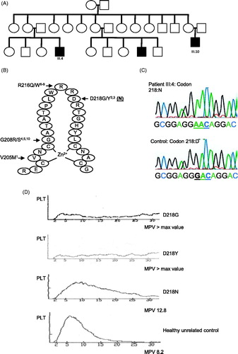 Figure 1. (A) Patients with thrombocytopenia are represented by filled symbols. (B) Schematic presentation of the N-terminal zinc finger of GATA1 with the mutations that are reported and the D218N mutation presented in the present study. (C) Sequencing analysis of GATA1 exon 4 using gDNA of patient III:4 and a control male. A basepair substitution G to A was found that converted aspartic acid (D) into asparagine (N). (D) Platelet count profiles for patients with the different D218 GATA1 mutations and an unrelated healthy control subject. The histogram plots present the platelet count (PLT) in function of the mean platelet volume (MPV) as indicated.