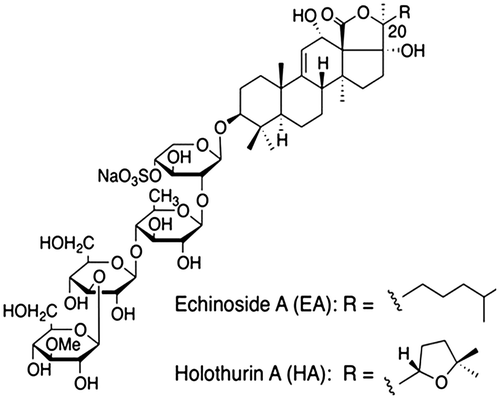 Fig. 2. Structures of Holothurin A and Echinoside A.