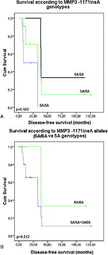 Figure 3. Disease-free survival of the patients with coetaneous melanoma according the MMP3 -1171insA genotypes: (A) patients are divided in three groups – carriers of 5A/5A, 5A/6A and 6A/6A genotypes; (B) patients are divided into two groups: carriers of 5A allele genotypes (5A/5AC5A/6A) and carriers of 6A/6A genotype.