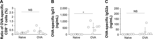 Figure S8 OVA-specific immune responses in mice.Notes: (A) Ratio of OVA-specific CD8+ T cells in total CD8+ T cells in peripheral blood. Each circle corresponds to the ratio of OVA-specific CD8+ T cells in an individual mouse, and horizontal lines indicate mean ± SD. (B) OVA-specific IgG1 antibody level in serum. Each circle corresponds to OVA-specific IgG1 antibody level in an individual mouse. (C) OVA-specific IgG2a antibody level in serum. Each circle corresponds to OVA-specific IgG2a antibody level in an individual mouse. *p<0.05 (analysis of variance followed by Tukey’s honestly significant difference post hoc test and Ryan’s method).Abbreviations: NS, not significant; OVA, ovalbumin.