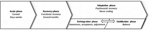 Figure 2. Proposed biopsychosocial classification of care phases after acquired brain injury.