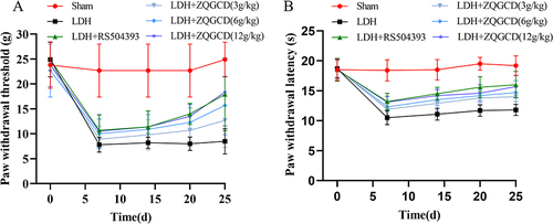 Figure 6 CCR2 inhibitor or ZQGCD can improve hyperalgesia of LDH rats. (A) Paw withdrawal threshold in rats. Compared with sham rats, PWT in LDH rats was significantly lower on day 7 after NP implantation (P<0.0001). After RS504394 and ZQGCD (6 g/kg, 12g/kg) treatment, the PWT of rats was lower than that of LDH rats at 25 days after NP implantation (P<0.001, P<0.0001). (B) Paw withdrawal latency in rats. Compared with sham rats, the PWL in LDH rats was significantly lower on day 7 after NP implantation (P<0.0001). After RS504394 and ZQGCD (3 g/kg, 6g/kg, 12 g/kg) treatment, the PWL of rats was lower than that of LDH rats at 25 days after NP implantation (P<0.001, P<0.0001, P<0.0001).