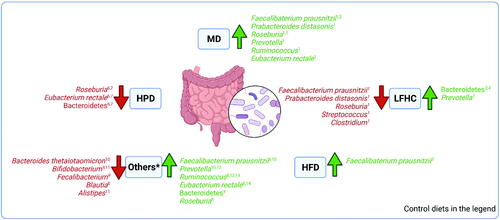 Figure 4. Microbiota main changes in individuals with obesity following classical or healthy dietary regimens in comparison to several control diets. MD: Mediterranean Diet, compared to low-fat high carbohydrate diet in 1Haro et al. (Citation2016a, Citation2016b, Citation2017) and to a habitual western diet in 2Meslier et al. (Citation2020). LFHC: Low-fat high-carbohydrate diet shows changes in comparison to MD (1Haro et al. Citation2016a, Citation2016b, Citation2017; P. diastonis only in the non-MetS group; Streptococcus and Clostridium in MetS-OB) and in microbiome plasticity (3Fragiadakis et al. Citation2020; 4Grembi et al. Citation2020). HFD: High fat diet; F. prausnitzii increased in high saturated fat diet with a high glycemic index as opposed to baseline (5Fava et al. Citation2013). HPD: high protein diet presents variations in Roseburia/Eubacterium rectale as proportion of total bacteria and decreased of Bacteroidetes versus MD (6Russell et al. Citation2011; 7Beaumont et al. Citation2017). *Others: dietary interventions with resistant-starch weight maintenance diet (RS-WM) versus control weight maintenance diet (C-WM diet) (8Johnstone et al. Citation2020); whole grain (WG) and fruits and vegetables (FV) interventions versus baseline (9Kopf et al. Citation2018). WG diet was also studied against refined grain (RG) consumption (10Roager et al. Citation2019; 12Vitaglione et al. Citation2015), with correlation in women (13Vuholm et al. Citation2017); resistant starch (RS) diet, non-starch polysaccharides (NSPs) diet and weight loss (WL) diet versus Run-in maintenance diet (protein/carbohydrate/fat % as 13:52:35 of metabolizable energy) (11Salonen et al. Citation2014, 14 Walker et al. Citation2011). Created with BioRender.com.