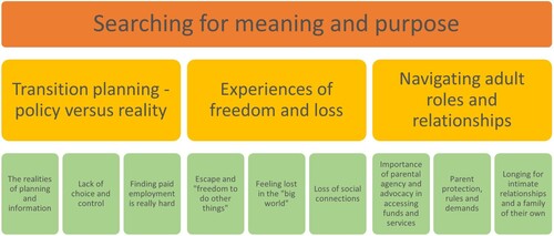 Figure 1. Searching for meaning and purpose themes.