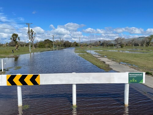 Figure 2. ‘From red zone to green zone’: incipient wetland after heavy rainfall in red zoned Bexley, October 2021. Photograph: Eric Pawson.