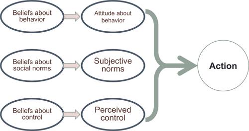 Figure 1 The theory of planned behavior.