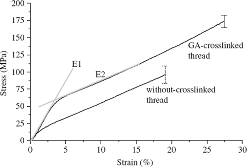 Figure 3. Stress-strain curves of collagen fibers with and without glutaraldehyde-treatment. Each thread is typical elastic-plastic material and has a low strain modulus (E1) and high strain modulus (E2) in stress-strain curve.
