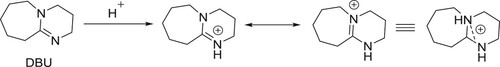 Scheme 1. Stabilization of protonated DBU.
