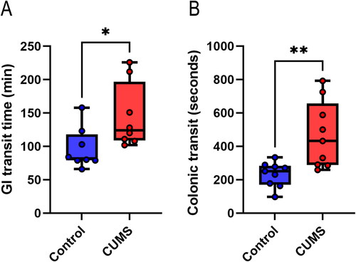 Figure 5. Dynamic detection of gastrointestinal tract. (A) Total transit time in the gastrointestinal tract; (B) Colonic propulsion time. Wilcoxon rank-sum test, n = 8–9 mice/group. Boxplots: lower, middle and upper hinges correspond to 25th, 50th and 75th percentiles. Upper and lower whiskers extend to largest and smallest value no further than 1.5 * IQR from respective hinge. *P < 0.05, **P < 0. 01. Note: GI: gastrointestinal.