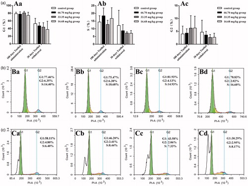 Figure 10. Cell cycle distribution of renal cells (N = 160). (A) Rates of different cell cycle phases. Aa represents the rate of G1 phase, Ab represents the rate of S phase and Ac represents the rate of G2 phase. (B) Representative cell cycle distribution diagrams of renal cells isolated from kidney tissue of rats after 180 days of administration and analyzed by flow cytometry. (C) Representative cell cycle distribution diagrams of renal cells isolated from the kidney tissue of rats after 30 days of drug withdrawal and analyzed by flow cytometry. Ba and Ca: Control group; Bb and Cb: 66.70 mg/kg tsothel group; Bc and Cc: 33.35 mg/kg tsothel group; Bd and Cd: 16.68 mg/kg tsothel group.