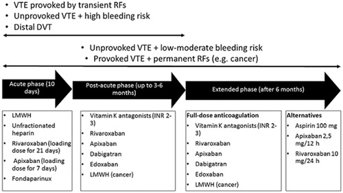 Figure 2. Duration of VTE therapy and therapeutic options. VTE: venous thromboembolism; RFs: risk factor; DVT: Deep Vein Thrombosis; LMWH: low molecular weight heparin.