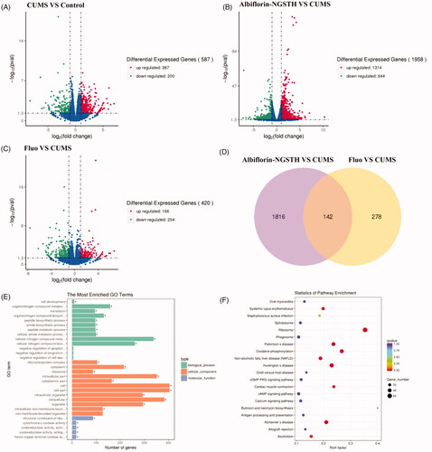 Figure 8. Transcriptome analysis in the hippocampus of rats. Volcano map: (A) CUMS model compared with control group, (B) albiflorin-NGSTH compared with CUMS model, and (C) fluoxetine group compared with CUMS model. (D) Venn diagram of comparison of albiflorin-NGSTH and fluoxetine. (E) GO enrichment analysis of antidepressant effects of albiflorin-NGSTH. (F) KEGG pathway enrichment analysis of antidepressant effects of albiflorin-NGSTH.