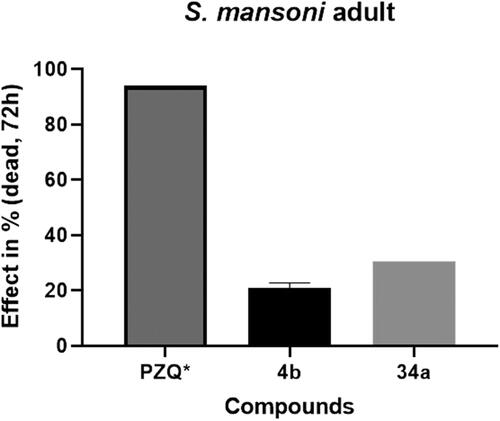 Figure 5. In vitro activity of compounds 4b and 34a against S. mansoni adult worms at 10 µM for 72 h and viability of worms is evaluated via microscopy. * PZQ concentration at 3.3 µM.